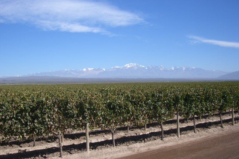 cimg5034.jpg